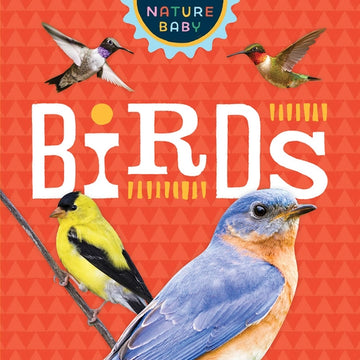 Nature Baby Birds Book