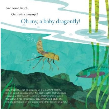 Soar High, Dragonfly! Book Page